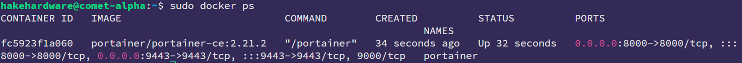 Terminal output of sudo docker ps showing the Portainer container running with ports 8000, 9443, and 9000 mapped