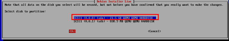 Debian Installer disk selection