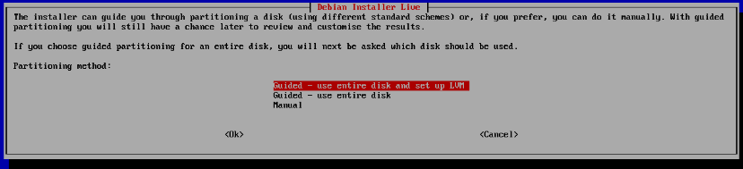 Debian Installer Guided LVM partitioning option