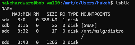 WSL terminal showing lsblk output with attached physical drive